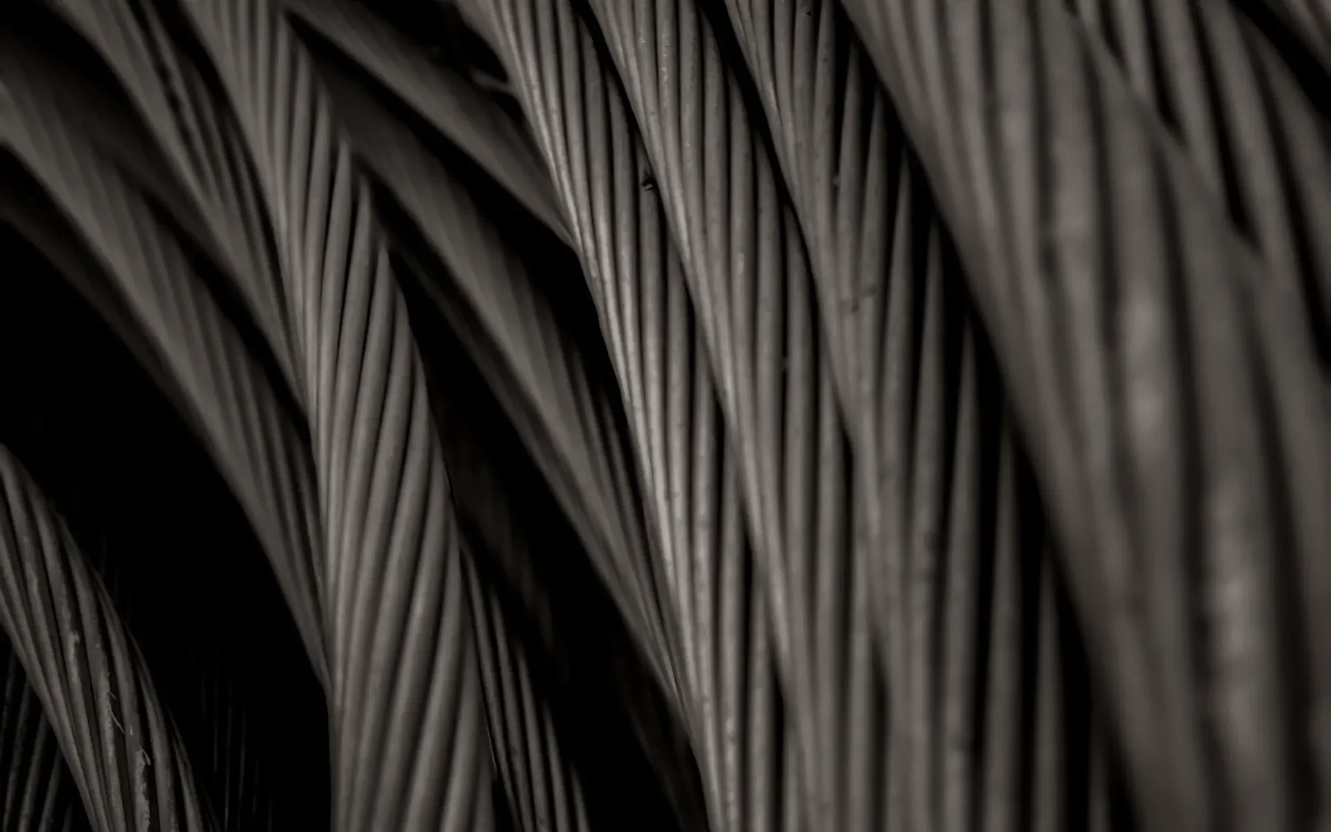 Close crop of stranded electrical conductor, lit from one side